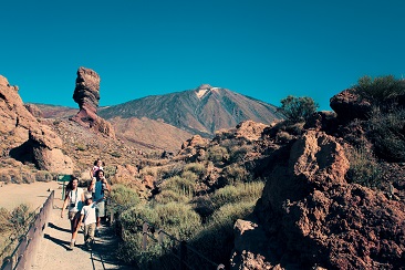 website image 3 website image 3